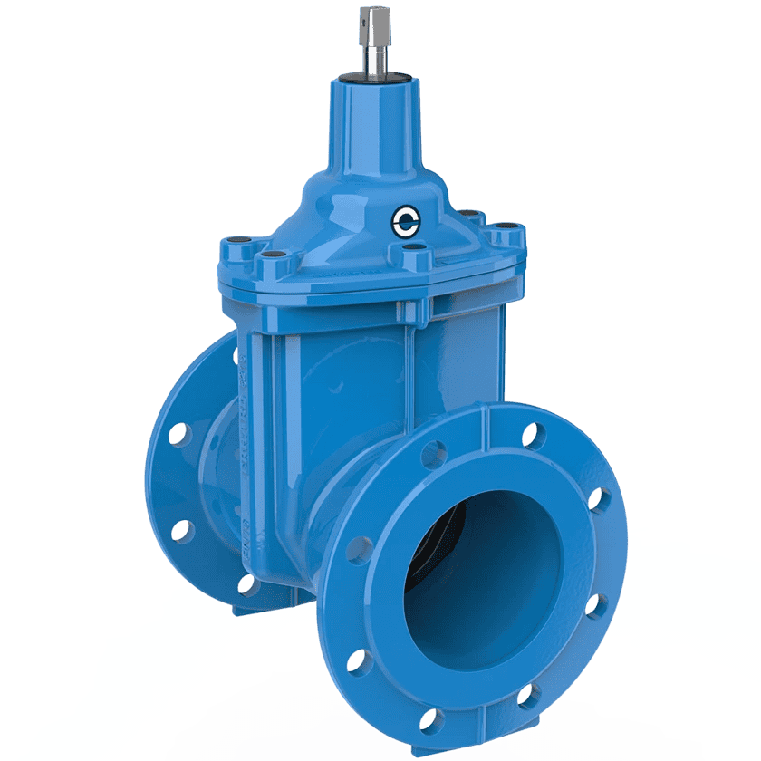 Gate Valves- Erhard